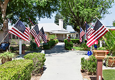 Outdoor walkway lined with American flags