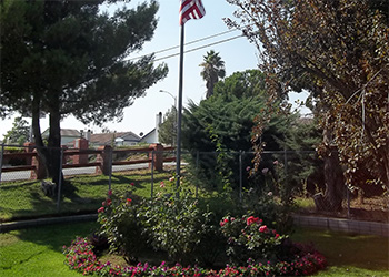 rose garden at Banning Healthcare