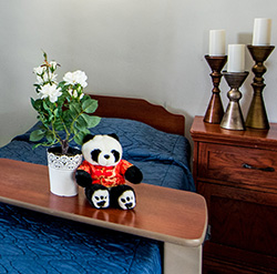 room ready for a new resident with fresh flowers and 'Pan Pan' the mascot