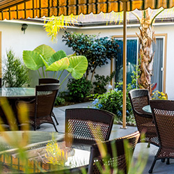peaceful outdoor patio with many potted plants and shade umbrellas